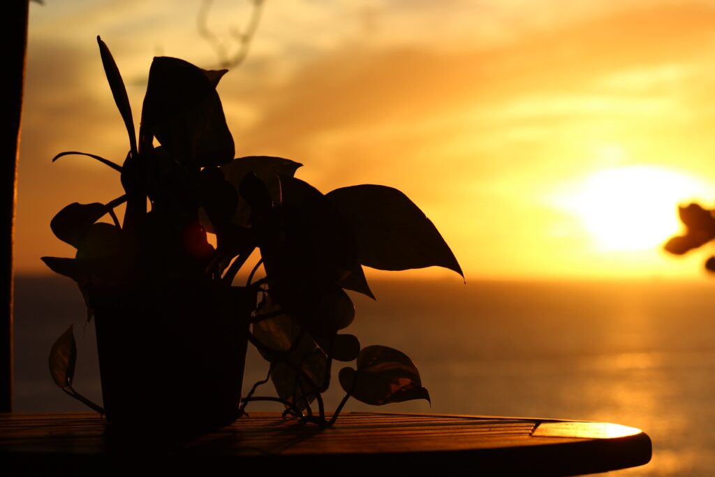 Paisagem fim de tarde